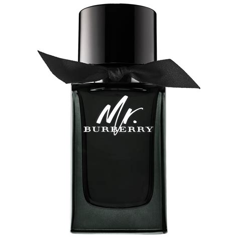 burberry mr burberry edt 3.3 fl|mr burberry sephora.